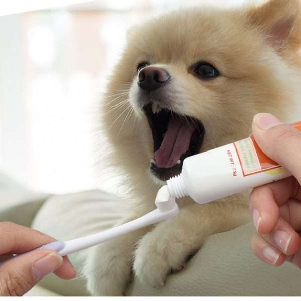 Pet Tooth Brush for cats small dogs 6 edited