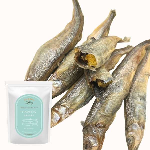 Freeze Dried Canadian Capelin Pet Treats 2