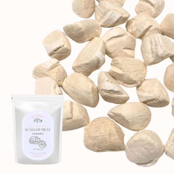 Freeze Dried Japanese Scallops Meat Pet Treats 1