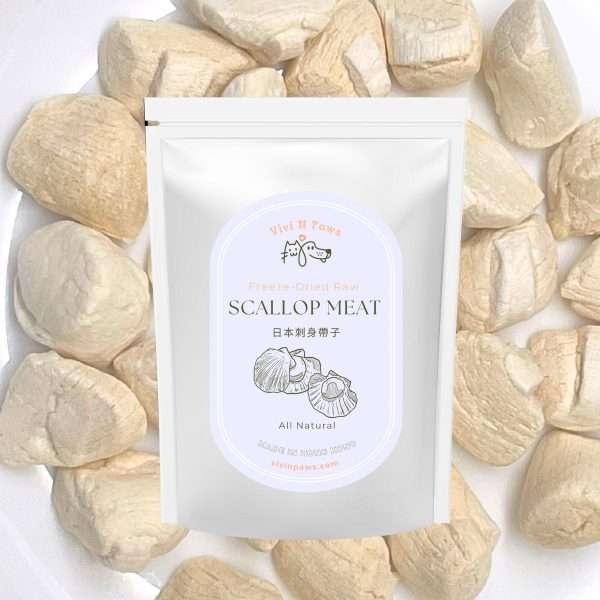 Freeze Dried Japanese Scallops Meat Pet Treats 3