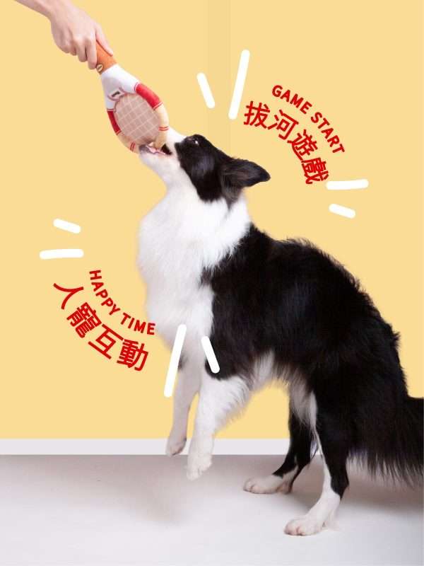 Poozpet Tennis Interactive Pet Toys Smart Pet Toys 2