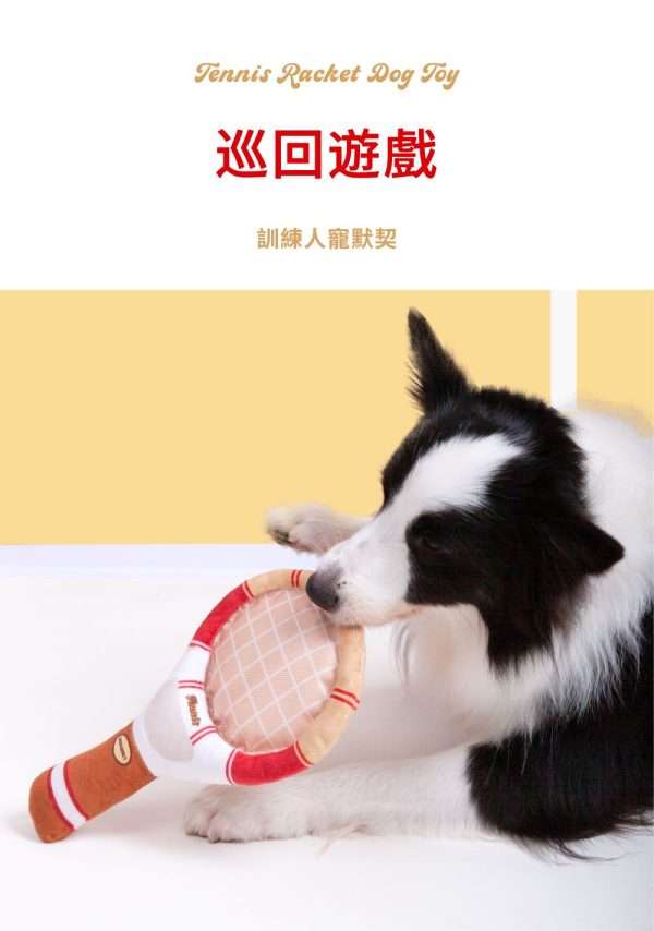 Poozpet Tennis Interactive Pet Toys Smart Pet Toys 3