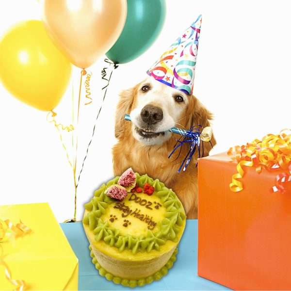 ViviNPaws birthday gift birthday Cake for dogs pet Baking 2 e1725107764409