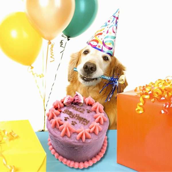ViviNPaws birthday gift birthday Cake for dogs pet Baking 6