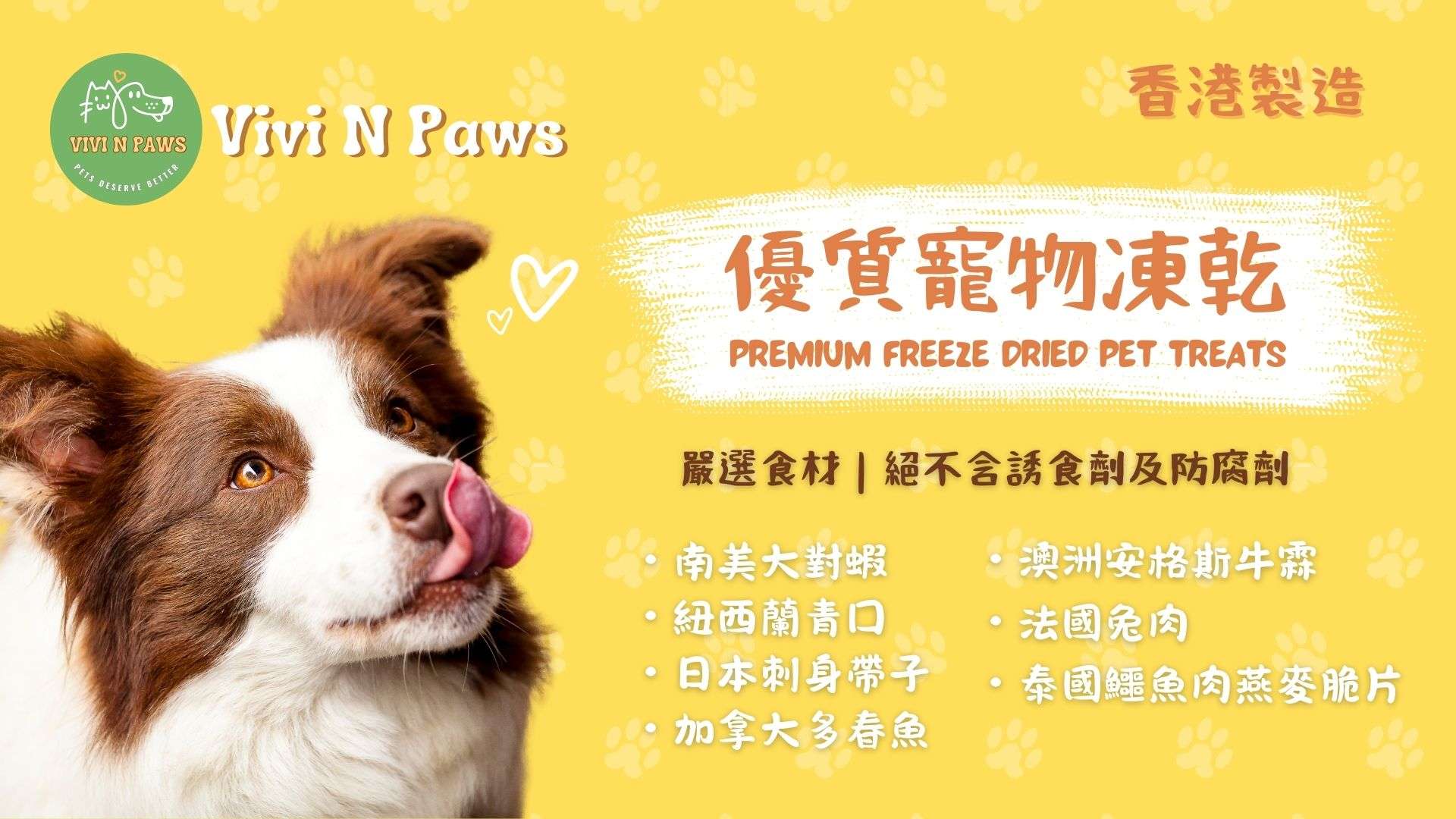 Vivinpaws banner