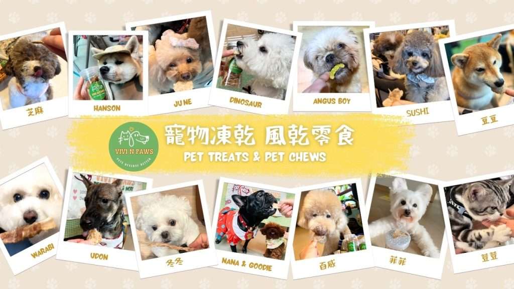 freezedried pet treats vivinpaws pet names